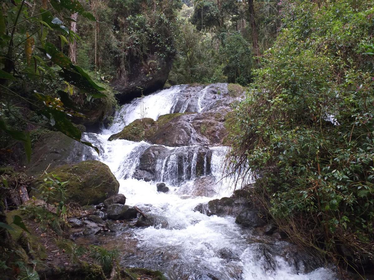 Las Cataratas Lodge San Gerardo de Dota Bagian luar foto