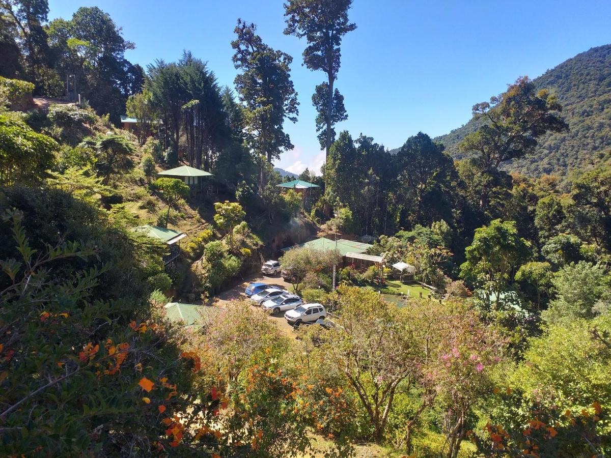 Las Cataratas Lodge San Gerardo de Dota Bagian luar foto