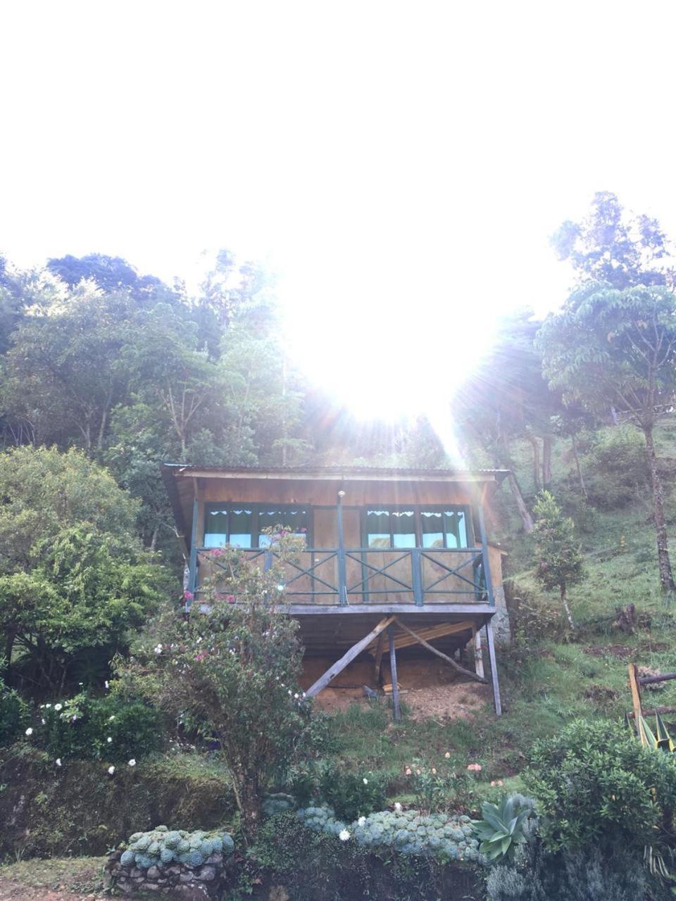 Las Cataratas Lodge San Gerardo de Dota Bagian luar foto