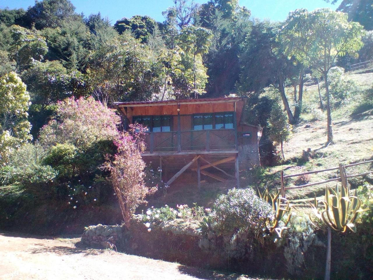 Las Cataratas Lodge San Gerardo de Dota Bagian luar foto