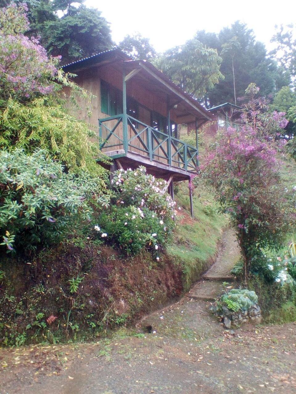 Las Cataratas Lodge San Gerardo de Dota Bagian luar foto